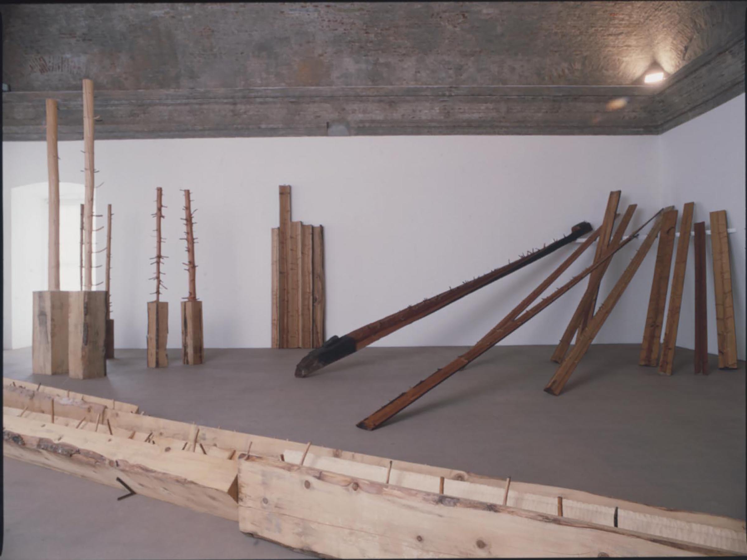 Giuseppe Penone, Ripetere il bosco, 1969-91